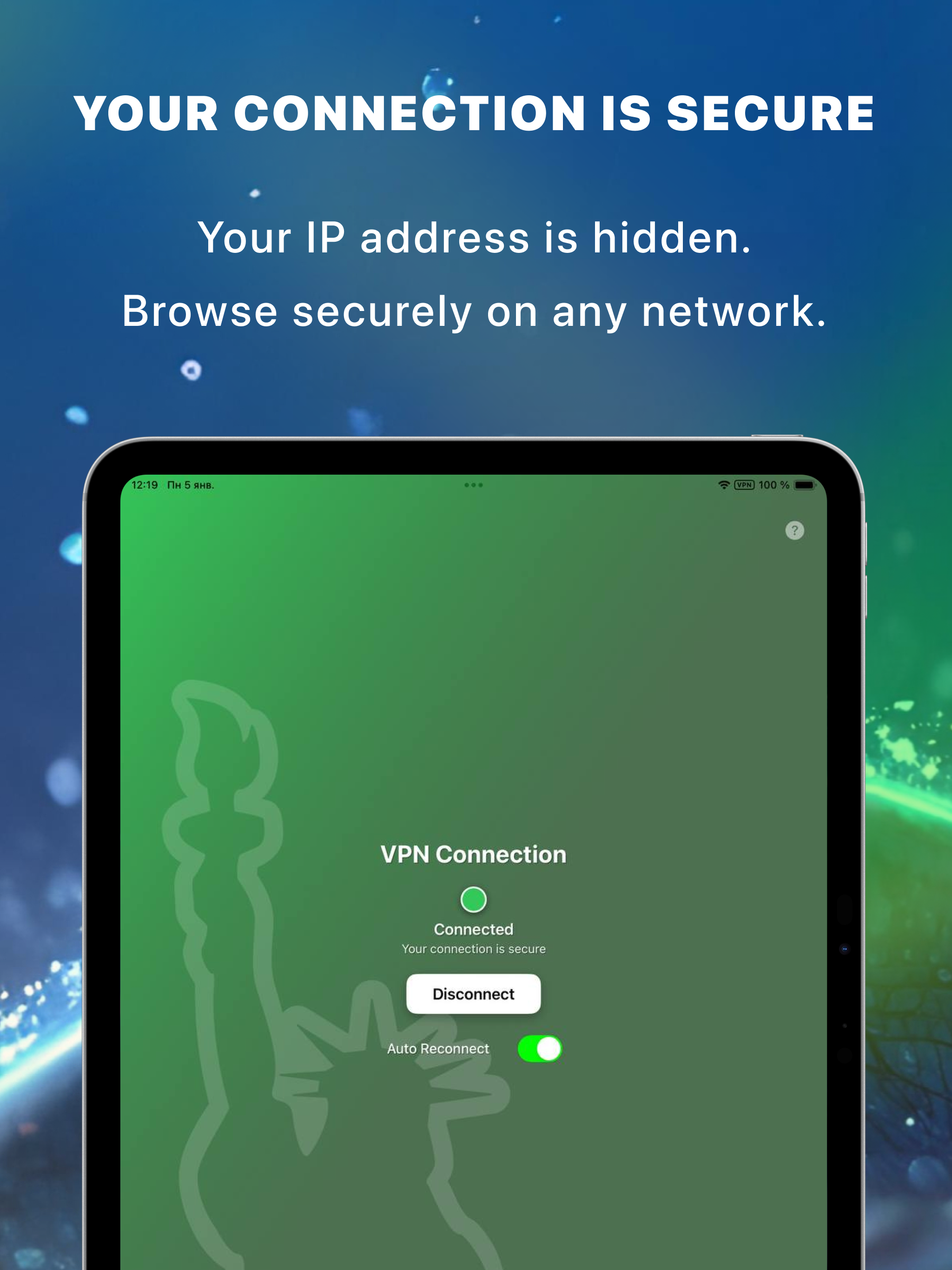 VPN iPad screenshot 2